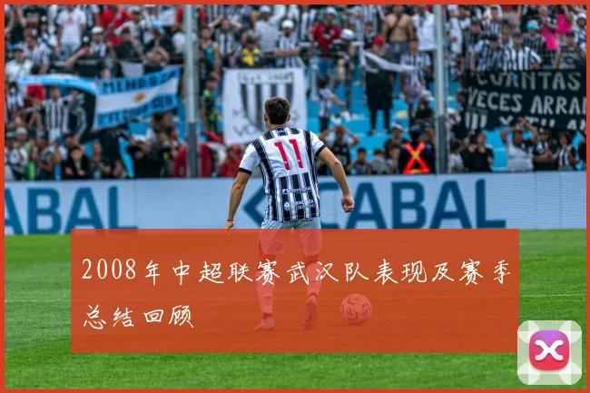 2008年中超联赛武汉队表现及赛季总结回顾