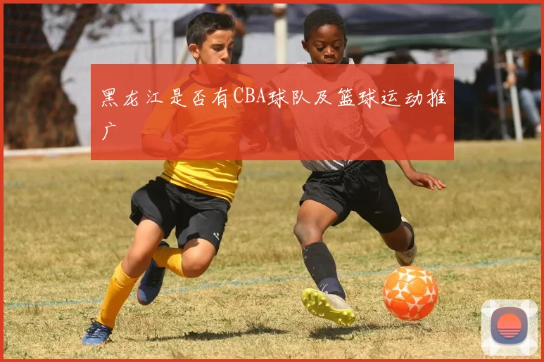 黑龙江是否有CBA球队及篮球运动推广