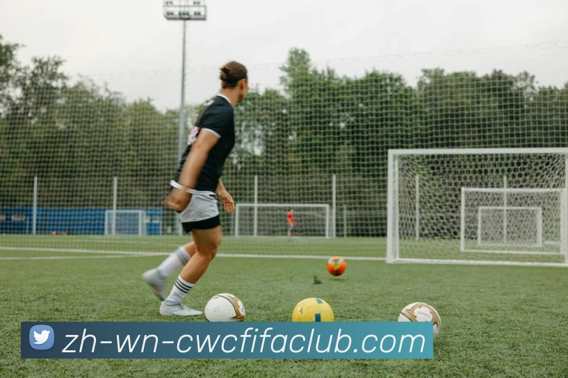 火箭队与太阳队比赛录像的完整回放